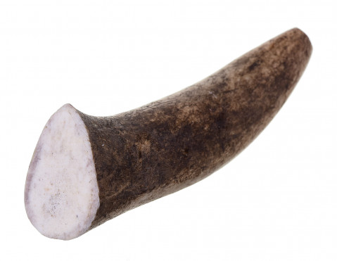 DLZ4DOKSP0001_2.jpg