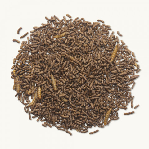 BEAPHAR Hedgehog food - karma dla jeża - 1kg - Galeria zdjęcie 2