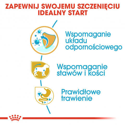 ROYAL CANIN BHN Dachshund Puppy - sucha karma dla szczeniąt - 1,5kg - Galeria zdjęcie 6