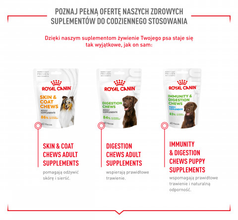 ROYAL CANIN Supplements Dog Joint & Ageing Adult - suplementy dla psa - 240g - Galeria zdjęcie 11