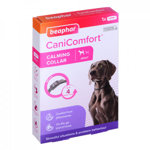 BEAPHAR Cani Comfort - obroża z feromonami dla psa - 65cm - Galeria zdjęcie 1