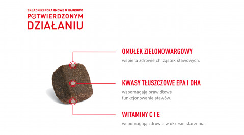 ROYAL CANIN Supplements Dog Joint & Ageing Adult - suplementy dla psa - 240g - Galeria zdjęcie 13