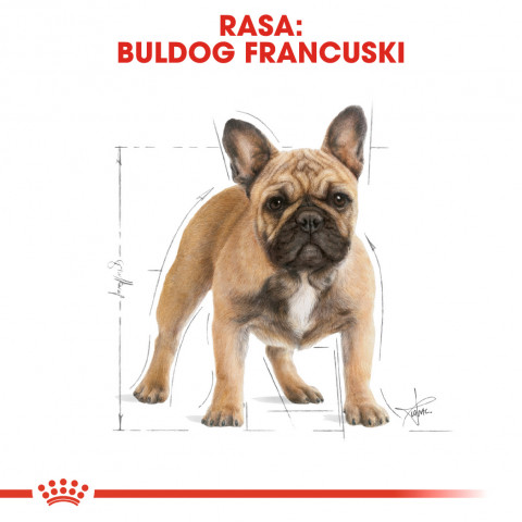 ROYAL CANIN BHN French Bulldog Adult - sucha karma dla psa dorosłego - 9 kg - Galeria zdjęcie 3
