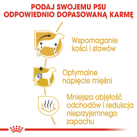Royal Canin BHN Dachshund Adult - sucha karma dla psa dorosłego - 1,5kg - Galeria zdjęcie 6