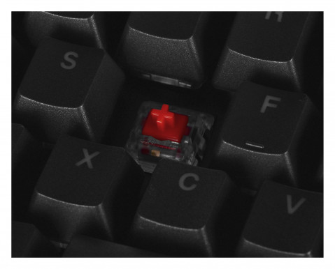 GAMENDKLA0003_5.jpg