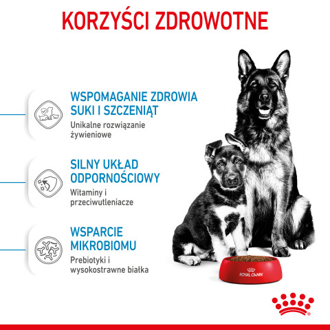 ROYAL CANIN SHN Maxi Starter Mother & Babydog - sucha karma dla psa - 4 kg - Galeria zdjęcie 7