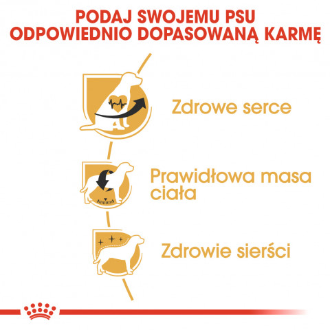 ROYAL CANIN BHN Cavalier King Charles Spaniel Adult - sucha karma dla psa dorosłego - 1,5kg - Galeria zdjęcie 4