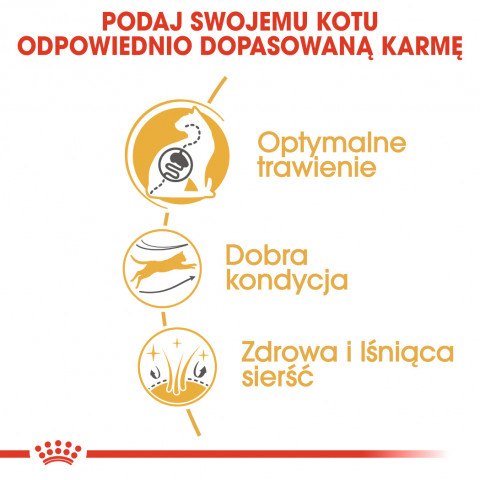 ROYAL CANIN Bengal Adult - sucha karma dla dorosłego kota - 10 kg - Galeria zdjęcie 9