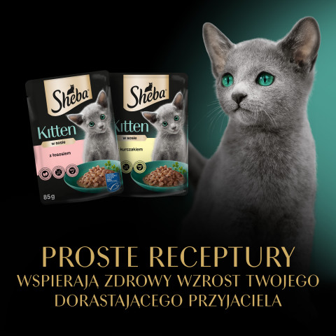 SHEBA Nature's Collection Drobiowe smaki w galarecie- Junior Kurczak/Łosoś - Mokra karma dla kota 40x85g - Galeria zdjęcie 3