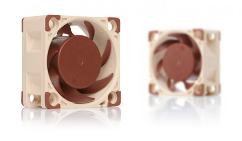 Wentylator NOCTUA NF-A4X20 40x20 mm PWM - Galeria zdjęcie 5