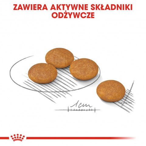 ROYAL CANIN CCN Dermacomfort Mini - sucha karma dla psów ras małych z wrażliwą skórą - 3 kg - Galeria zdjęcie 6