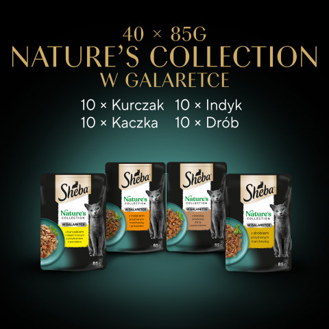 SHEBA Nature's Collection Drobiowe Smaki w galaretce - mokra karma dla kota - 40x85 g - Galeria zdjęcie 4