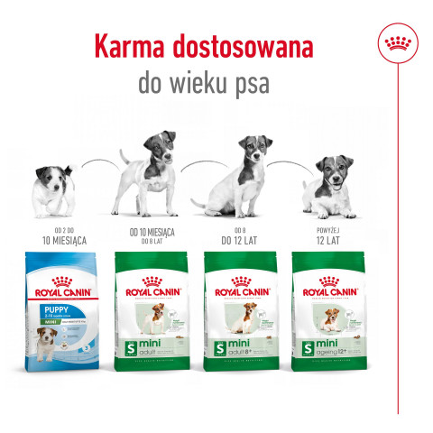 ROYAL CANIN Mini Adult +8 - sucha karma dla psa - 2 kg - Galeria zdjęcie 5