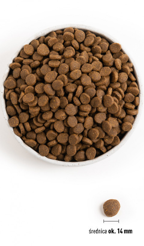 ACANA Highest protein Grasslands Dog - sucha karma dla psa - 11,4kg - Galeria zdjęcie 2