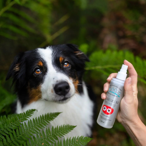 JM SANTE Green Sante - naturalny odstraszacz na pchły i kleszcze dla psa i kota - 150ml - Galeria zdjęcie 2