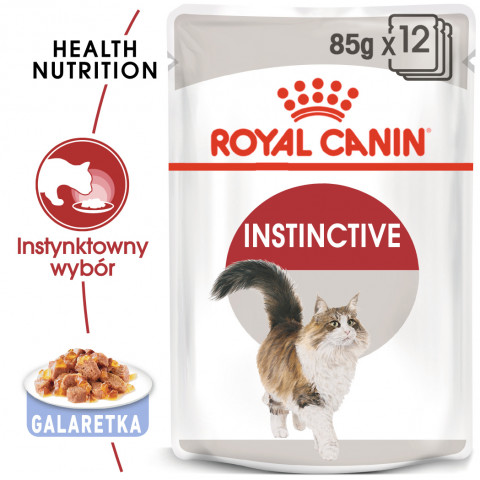 ROYAL CANIN FHN Instinctive w galaretce - mokra karma dla kota dorosłego - 12x85 g - Galeria zdjęcie 4