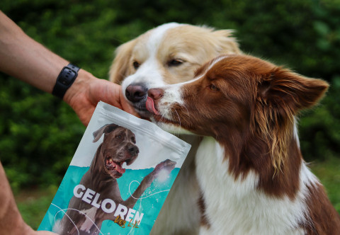 GELOREN Large dog Stawy - żelki dla psa - 420g - Galeria zdjęcie 4