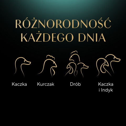 SHEBA Selection Select Slices Drobiowe Smaki - mokra karma dla kota - 40 x 85g - Galeria zdjęcie 12