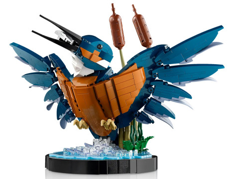 LEGO Icons 10331 Zimorodek - Galeria zdjęcie 5