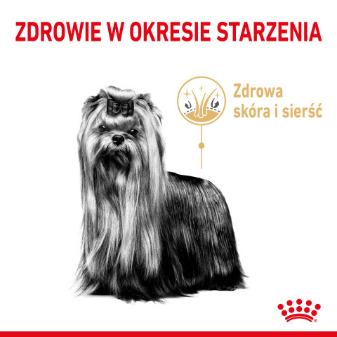 ROYAL CANIN BHN Yorkshire Ageing 8+ - sucha karma dla psa starszego - 1,5 kg - Galeria zdjęcie 3