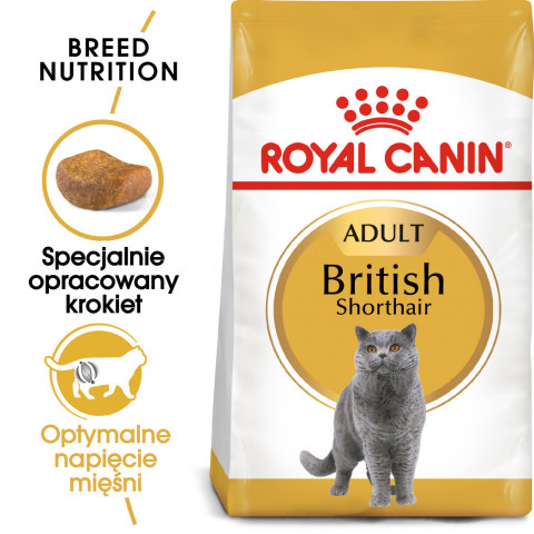 ROYAL CANIN FBN British Shorthair Adult - sucha karma dla dorosłego kota - 4 kg - Galeria zdjęcie 8