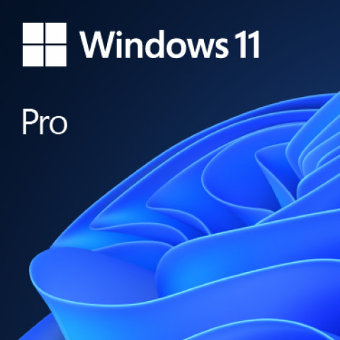 Microsoft Windows 11 Pro 64bit EN DVD OEM (FQC-10528) - Galeria zdjęcie 1