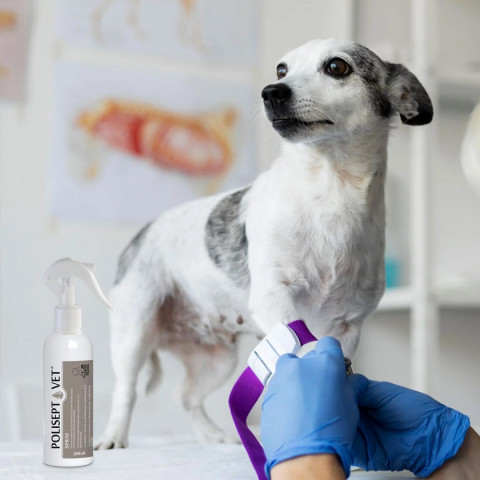 JM SANTE Polisept Vet - płyn na rany dla psa i kota - 200 ml - Galeria zdjęcie 3