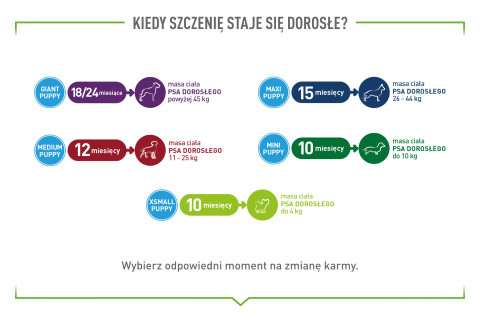 ROYAL CANIN Supplements Dog Immunity & Digest Puppy - suplementy dla psa - 100g - Galeria zdjęcie 12
