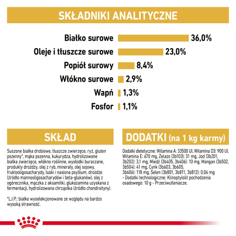 ROYAL CANIN FBN Maine Coon Kitten - sucha karma dla kociąt - 4 kg - Galeria zdjęcie 4