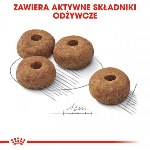 ROYAL CANIN CCN Medium Sterilised Adult - sucha karma dla psa - 12 kg - Galeria zdjęcie 4