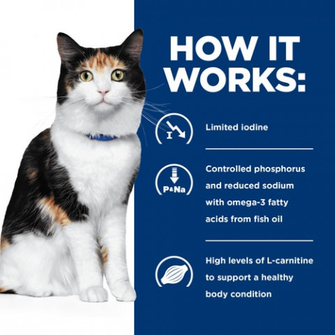 HILL'S Prescription Diet Thyroid Care Feline y/d - karma dla kota z chorą tarczycą - puszka 6x156g - Galeria zdjęcie 6