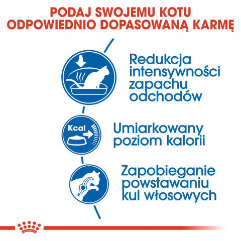 ROYAL CANIN Indoor 27 Adult - sucha karma dla kota - 400g - Galeria zdjęcie 9