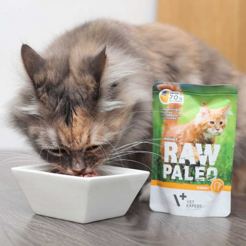 VETEXPERT Raw Paleo Adult Cat Indyk - mokra karma dla kota - 100g - Galeria zdjęcie 2
