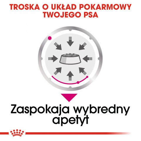 ROYAL CANIN CCN EXIGENT LOAF - mokra karma dla psa dorosłego - 12x85g - Galeria zdjęcie 6