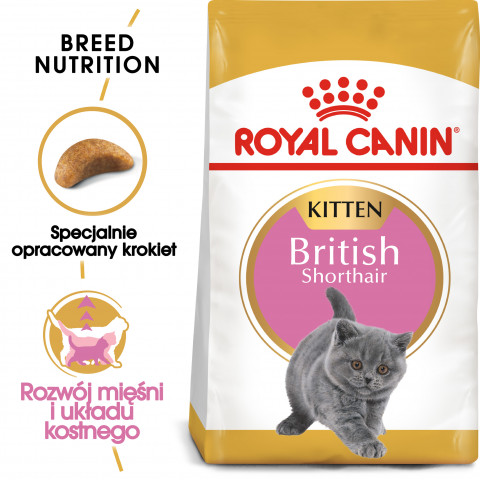Royal Canin FBN British Shorthair Kitten - sucha karma dla kociąt - 2 kg - Galeria zdjęcie 3