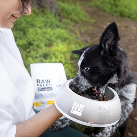 VET EXPERT Raw Paleo Ultra Medium&Large Puppy Indyk - sucha karma dla szczeniąt - 2kg - Galeria zdjęcie 6