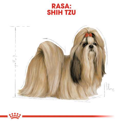 ROYAL CANIN BHN Shih Tzu Adult - sucha karma dla psa dorosłego - 1,5 kg - Galeria zdjęcie 3