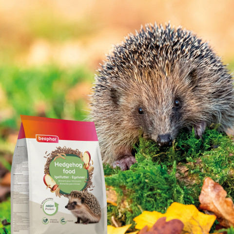 BEAPHAR Hedgehog food - karma dla jeża - 1kg - Galeria zdjęcie 4