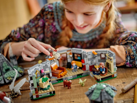 LEGO Harry Potter 76428 Chatka Hagrida: niespodziewana wizyta - Galeria zdjęcie 11