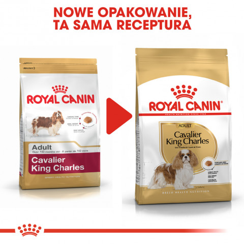 ROYAL CANIN BHN Cavalier King Charles Spaniel Adult - sucha karma dla psa dorosłego - 1,5kg - Galeria zdjęcie 8
