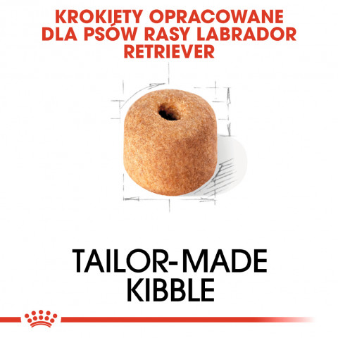 ROYAL CANIN BHN Labrador Retriever Adult - sucha karma dla psa dorosłego - 12 kg - Galeria zdjęcie 4