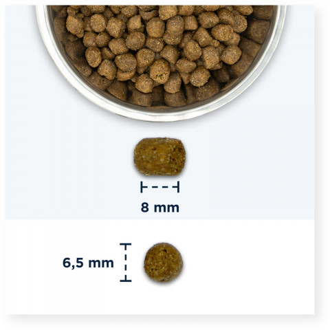 EUKANUBA Hairball Control Chicken - sucha karma dla kota - 2kg - Galeria zdjęcie 3