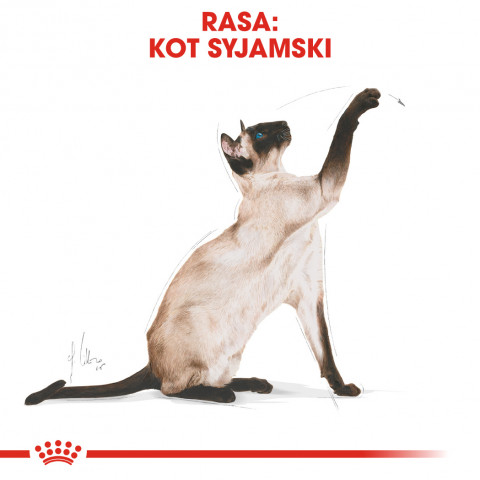 ROYAL CANIN FBN Siamese Adult - sucha karma dla dorosłego kota - 2kg - Galeria zdjęcie 4