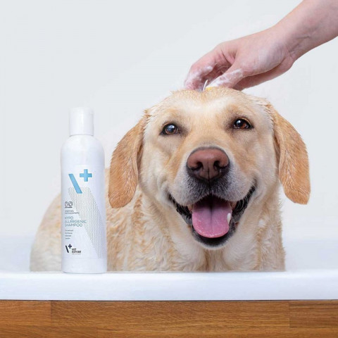 VetExpert Hypoallergenic Shampoo - Pielęgnacja dla psów i kotów - 250ml - Galeria zdjęcie 4