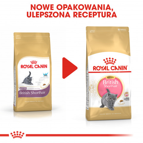 Royal Canin FBN British Shorthair Kitten - sucha karma dla kociąt - 2 kg - Galeria zdjęcie 7