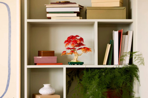 LEGO BOTANICALS 10348 JAPANESE RED MAPLE BONSAI TREE - Galeria zdjęcie 6