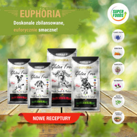 BIOFEED Euphoria Gluten Free Junior medium & large Jagnięcina - sucha karma dla psa - 2 kg - Galeria zdjęcie 5