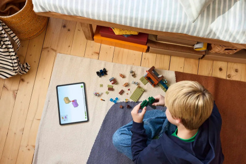 LEGO MINECRAFT 21269 Minecraft Wyprawa do pancernikowej kopalni - Galeria zdjęcie 9