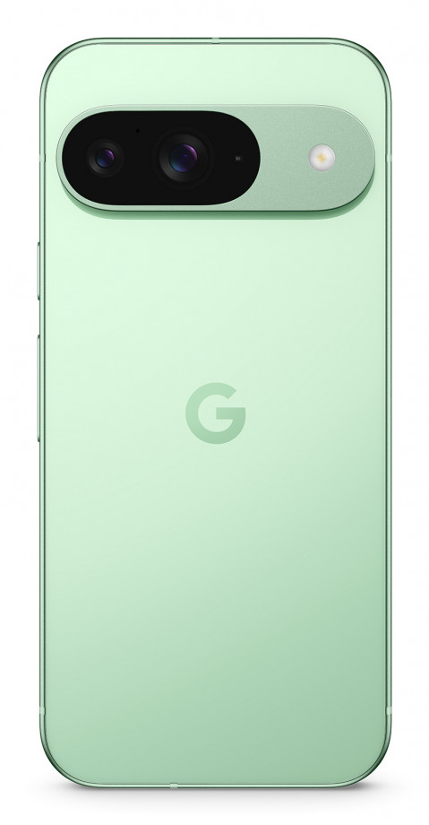 Smartfon Google Pixel 9 5G DualSIM 12/128GB Winter Green - Galeria zdjęcie 4