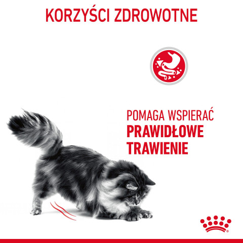 ROYAL CANIN Digestive Care Adult - sucha karma dla kota - 400g - Galeria zdjęcie 10